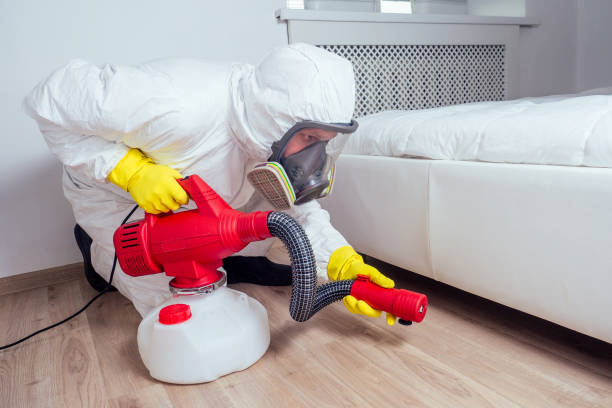 Best Termite Control Services  in Offutt Af, NE